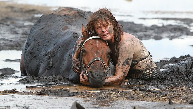 045135-horse-stuck-in-mud