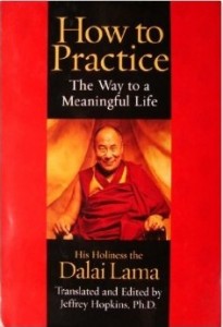 How To Practice: The Way to a Meaningful Life