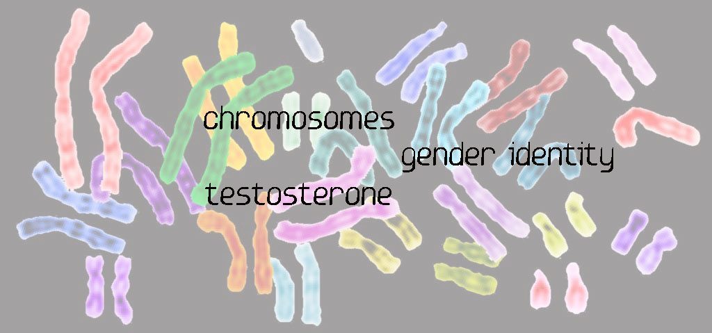 chromosones grfx