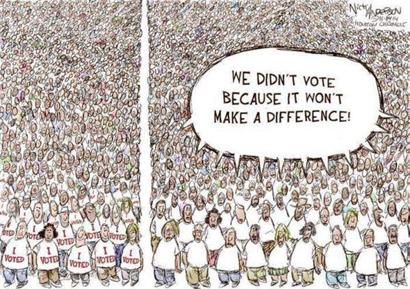 voting makes a difference