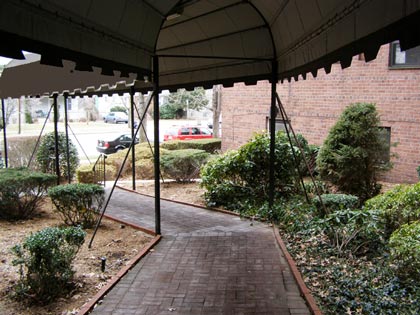 looking out from Briar Hall entrance