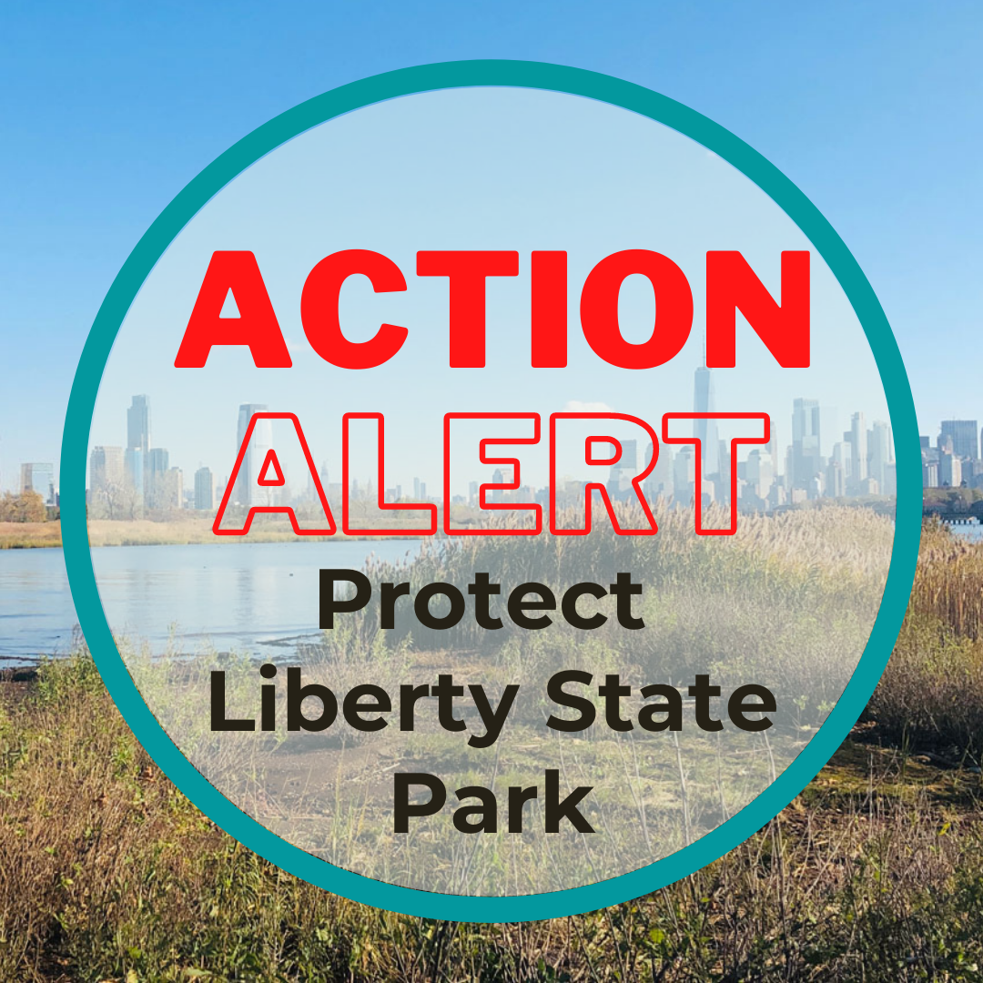 Protect Liberty State